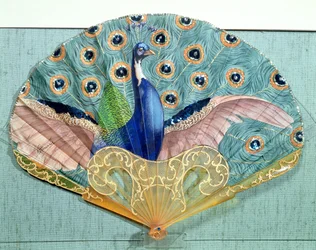 Peacock fan